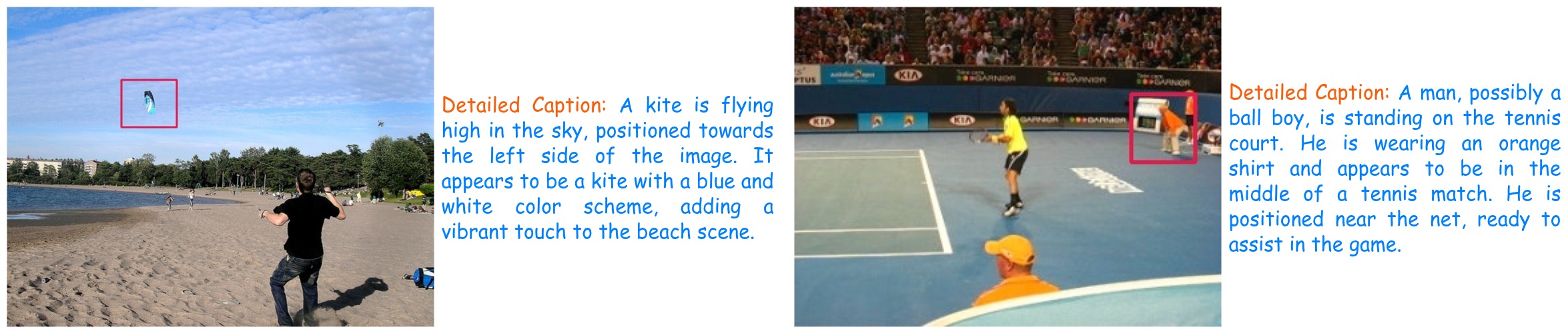 Region Caption example